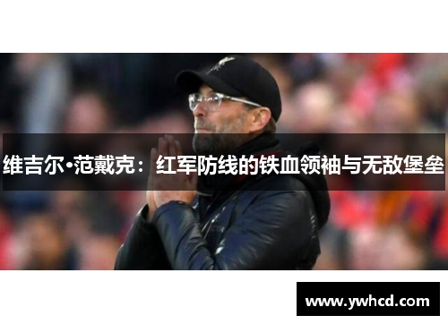 维吉尔·范戴克:红军防线的铁血领袖与无敌堡垒 维吉尔·范戴克:红军防线的铁血领袖与无敌堡垒