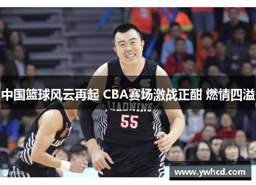 中国篮球风云再起 CBA赛场激战正酣 燃情四溢 中国篮球风云再起 CBA赛场激战正酣 燃情四溢