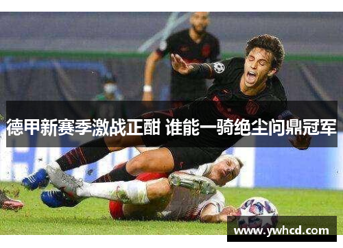 德甲新赛季激战正酣 谁能一骑绝尘问鼎冠军 德甲新赛季激战正酣 谁能一骑绝尘问鼎冠军