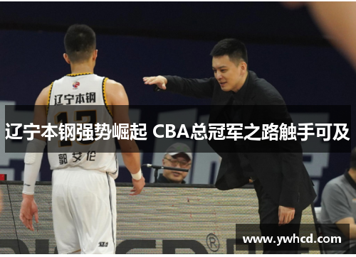辽宁本钢强势崛起 CBA总冠军之路触手可及 辽宁本钢强势崛起 CBA总冠军之路触手可及